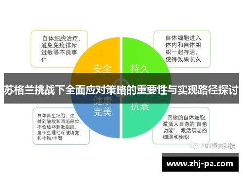 苏格兰挑战下全面应对策略的重要性与实现路径探讨 苏格兰挑战下全面应对策略的重要性与实现路径探讨