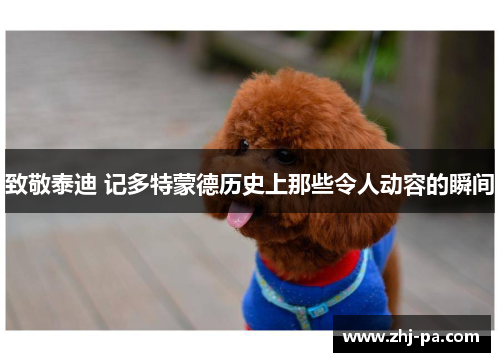 致敬泰迪 记多特蒙德历史上那些令人动容的瞬间 致敬泰迪 记多特蒙德历史上那些令人动容的瞬间