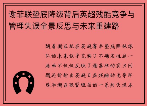 谢菲联垫底降级背后英超残酷竞争与管理失误全景反思与未来重建路 谢菲联垫底降级背后英超残酷竞争与管理失误全景反思与未来重建路