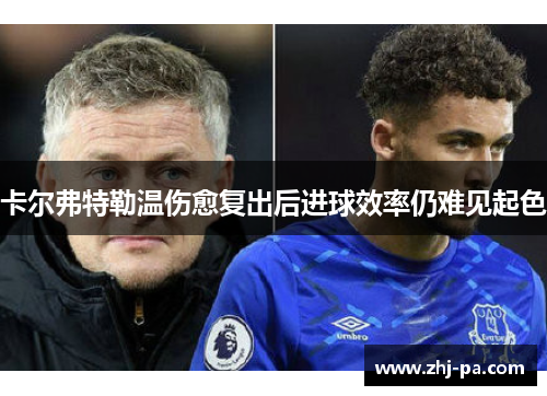 卡尔弗特勒温伤愈复出后进球效率仍难见起色 卡尔弗特勒温伤愈复出后进球效率仍难见起色